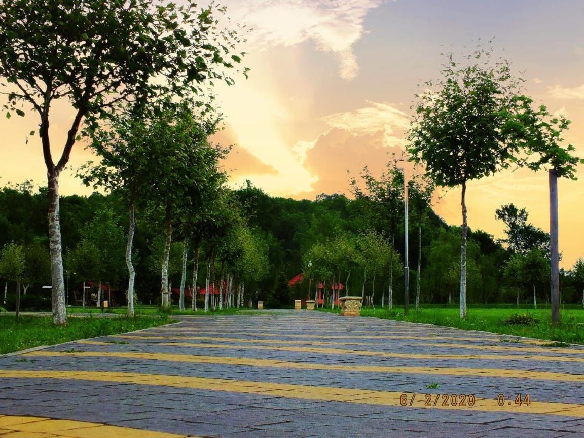 Illara Spa Hotel Irshava 외부 사진