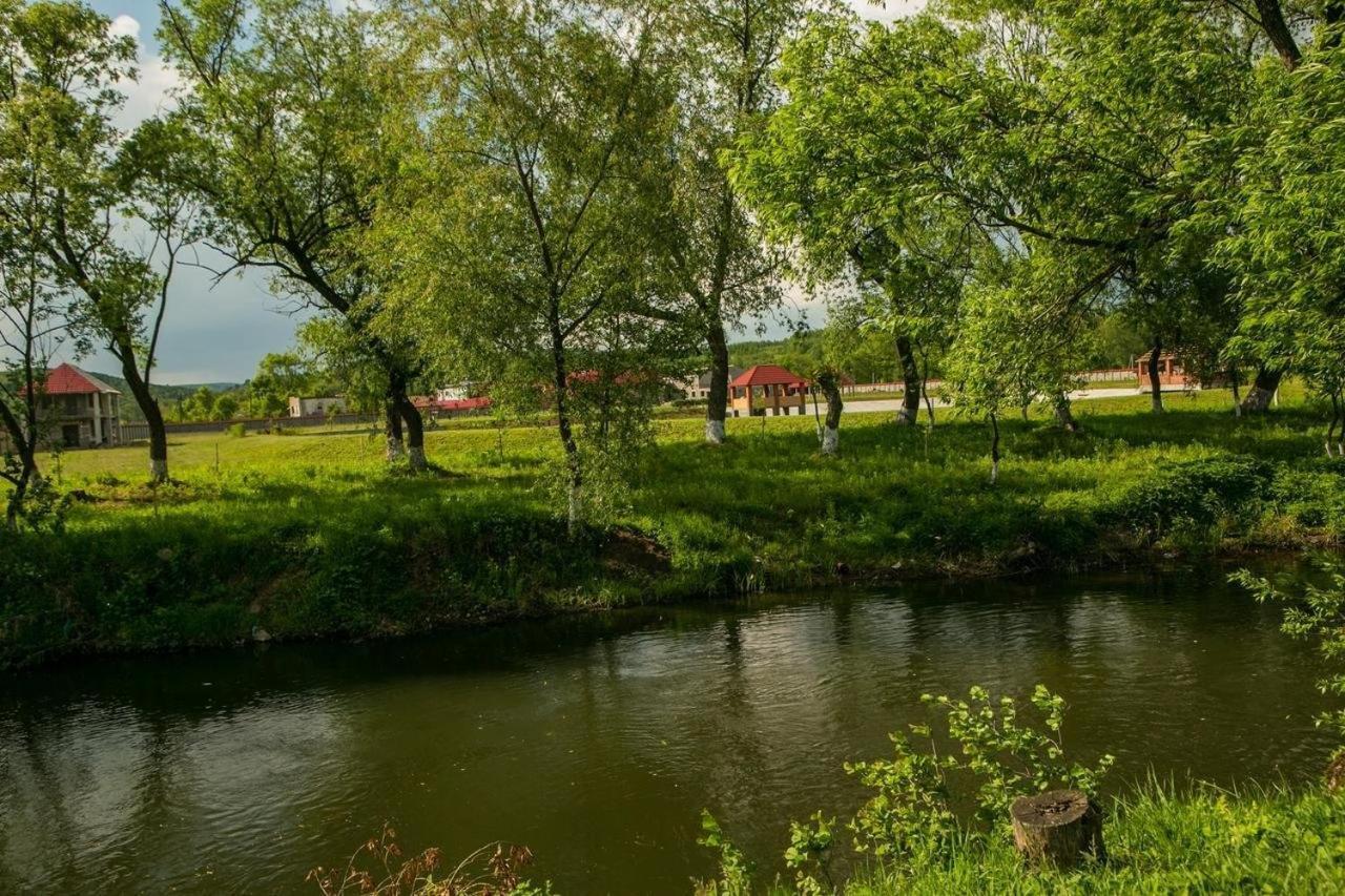 Illara Spa Hotel Irshava 외부 사진