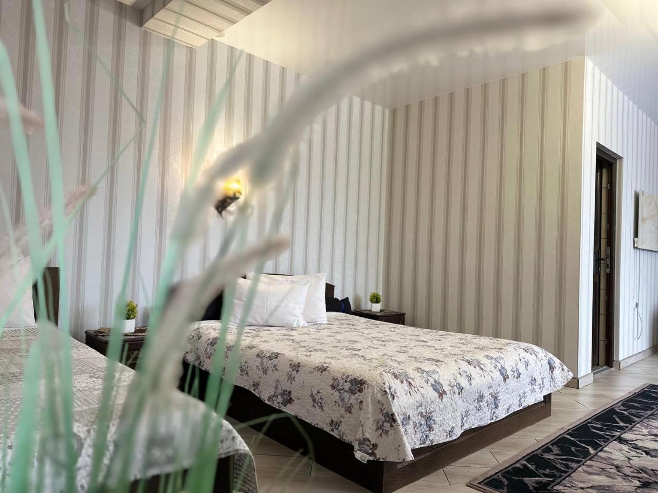 Illara Spa Hotel Irshava 외부 사진